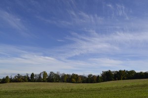 The scene I experienced in Canada. I wish the colors of the trees could have been captured better in this pic. 