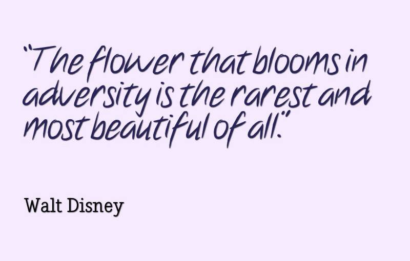 A Different Kind of&nbsp;Goodbye